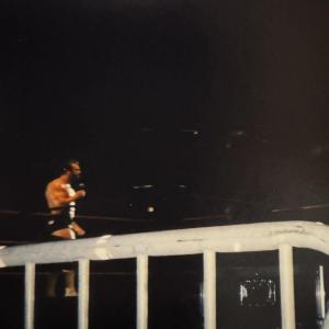 81d4e89a-ff34-4112-81eb-31af98c5c5d8