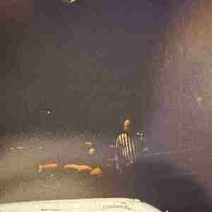 166c8e07-0750-43fe-8c7f-089c822c2665