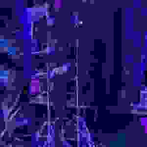 59