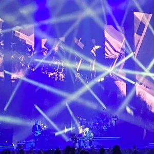 264319685_4997770803588393_8757072585666990257_n
