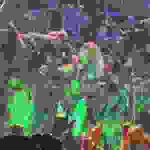 50