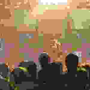 66