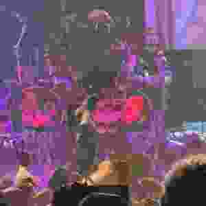 84