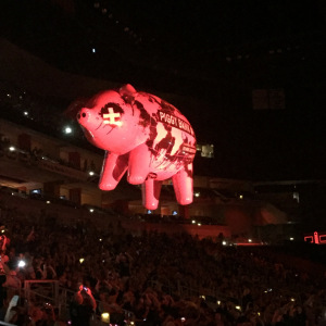 IMG_0758