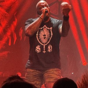 41