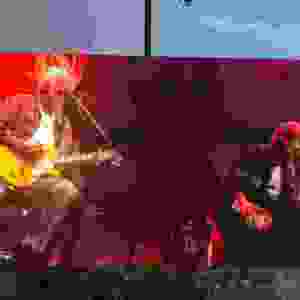 51
