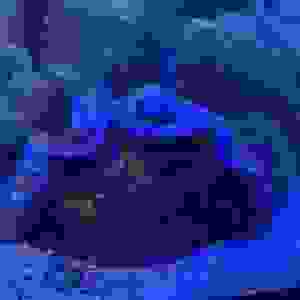 111