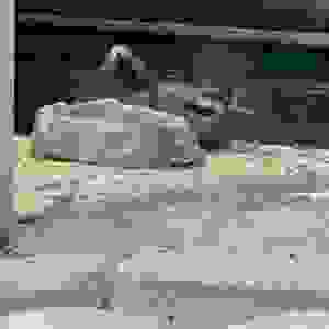 137