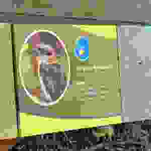 145