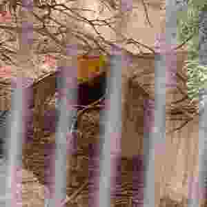 146
