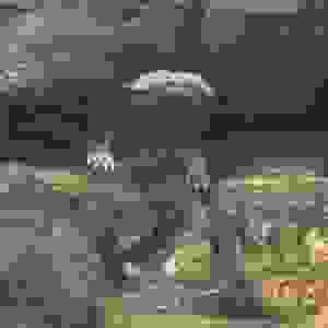 168