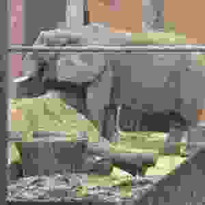 192