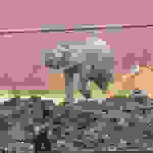195