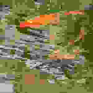70