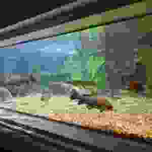 78