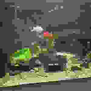 82