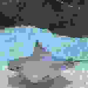 88
