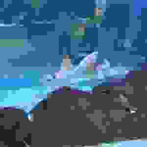 94