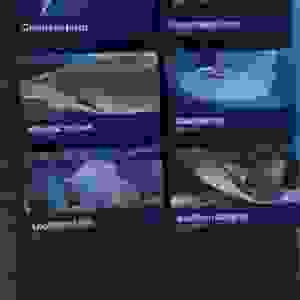 96