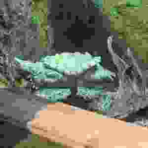 97