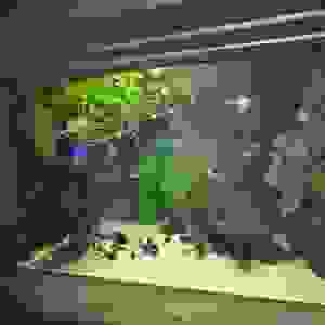 99