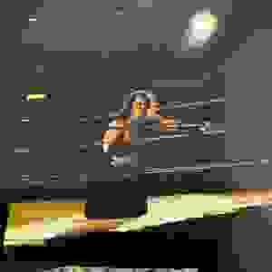 8b961666-7c08-4a39-be87-6f188cad722b