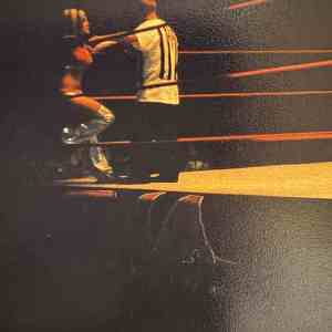 fc5f29a3-d1b3-4a5c-b94b-0f4032467e56