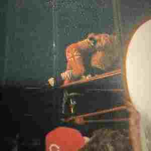 8e577433-e7d3-44a5-bfa5-5b5e8feeb540