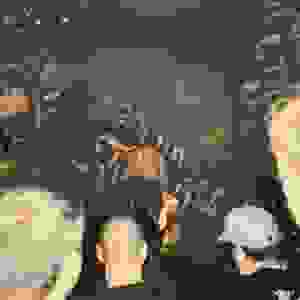 9113f90d-d177-4250-ab40-f96344466cbd