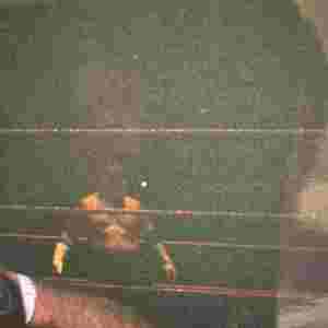 9f07149d-7cc9-462f-9a65-f5b96caa8616