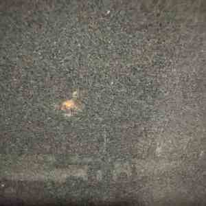 f2693a96-5e27-4c5d-bada-5cd9a41fb61d