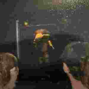 3e6757f7-9029-4521-a47e-a846a789abc0