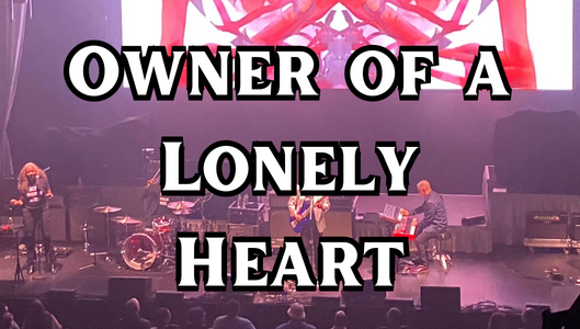 Owner of a Lonely Heart
