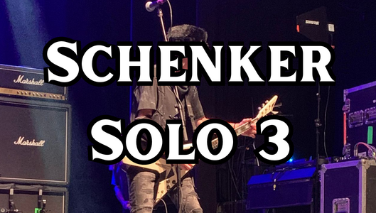 Schenker Solo 3