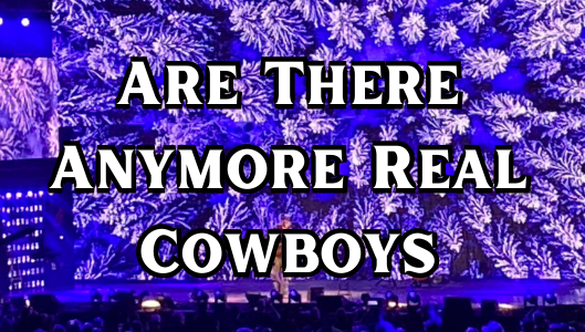 Are There Anymore Real Cowboys