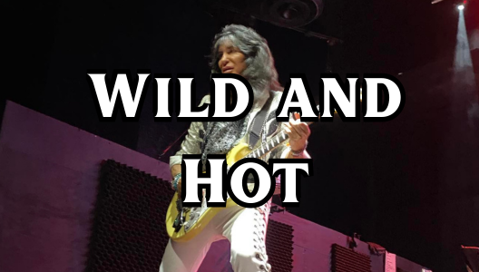 Wild and Hot