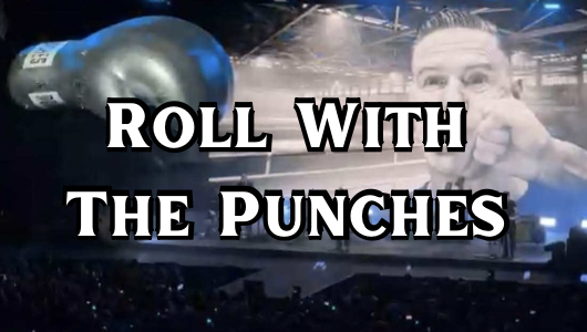 Roll With The Punches