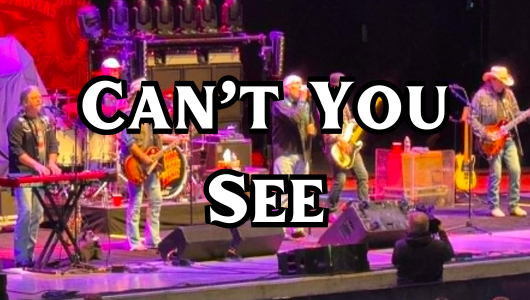 Can't You See