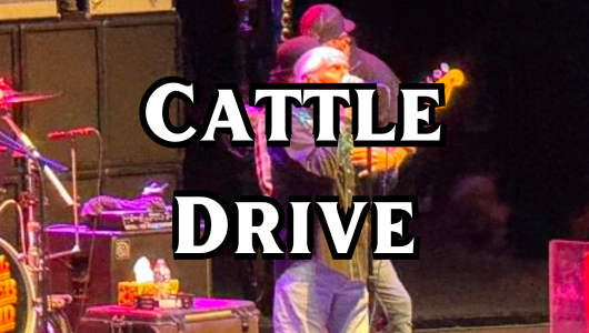 Cattle Drive