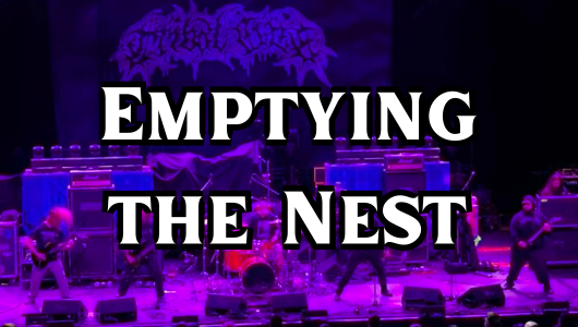 Emptying the Nest