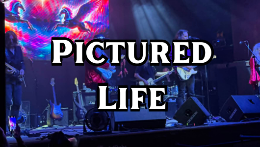 Pictured Life