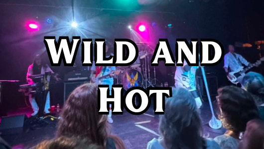 Wild And Hot