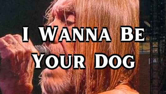 I Wanna Be Your Dog